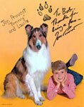302 ~ "Timmy" and Lassie